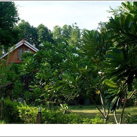Phuphiangkhiangfah Resort น่าน ห้อง รูปภาพ