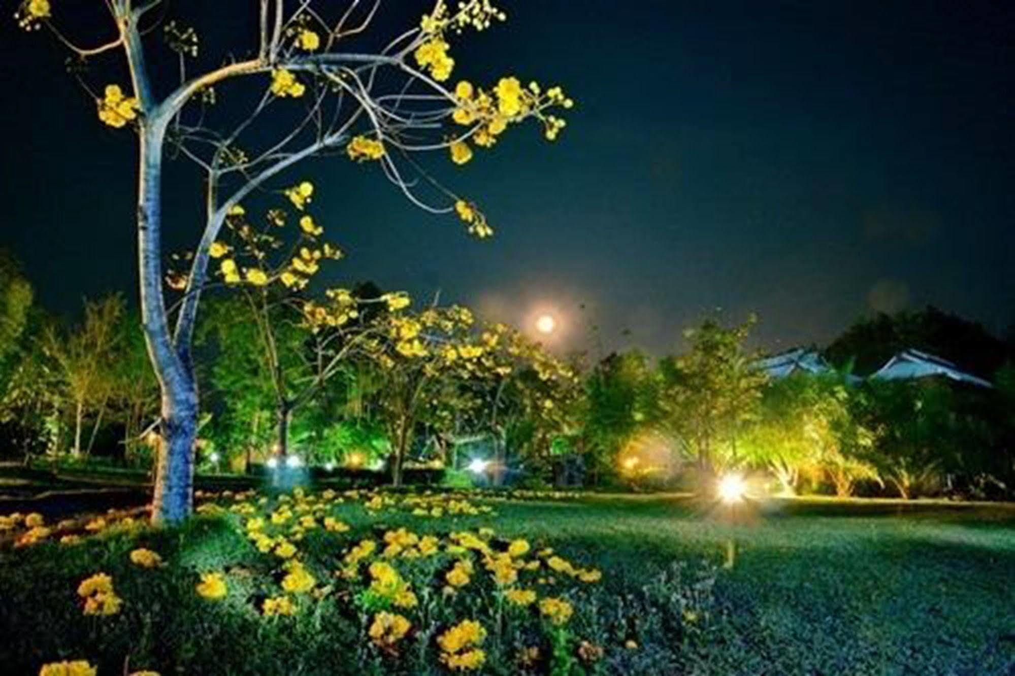 Phuphiangkhiangfah Resort น่าน ภายนอก รูปภาพ